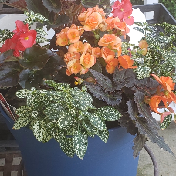 Meet your Posher, Mary - Picture 6 of 16